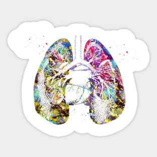 Lungs and Heart Sticker